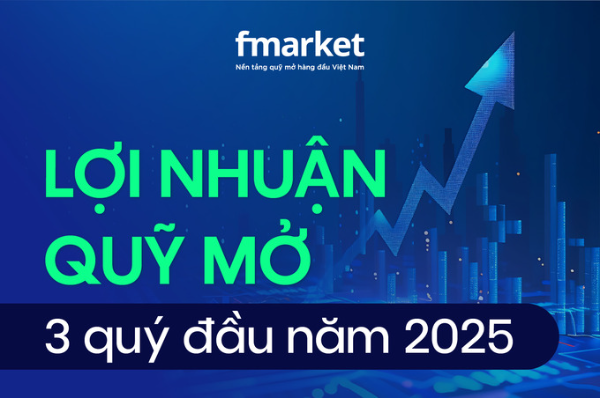 https://files.fmarket.vn/pro/blog/latest/Loinhuanquymo9thangdaunam_1759741956737.png