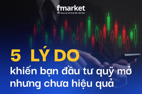 https://files.fmarket.vn/pro/blog/latest/Top5sailamphobienkhimuaquymo0111_1755763574240.png