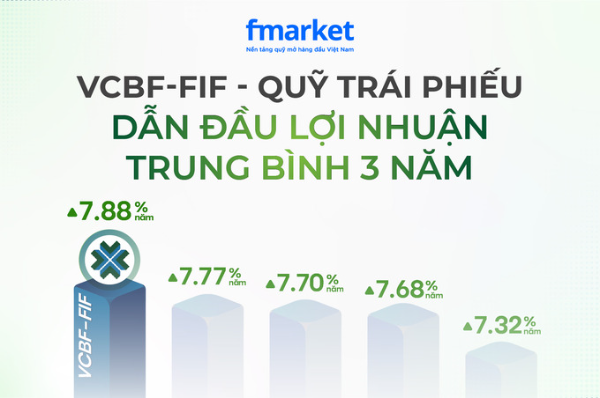 https://files.fmarket.vn/pro/blog/latest/VCBFFIFdandauloinhuan3nam_1755157647719.png