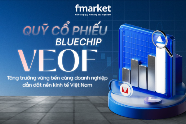 https://files.fmarket.vn/pro/blog/latest/VEOF_1763090198679.png