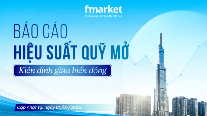 https://files.fmarket.vn/pro/blog/latest/baocaohieusuatquymo_1784021030990.webp