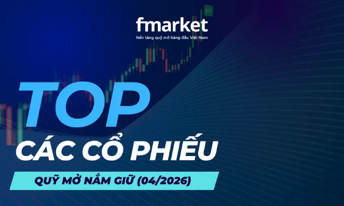 https://files.fmarket.vn/pro/blog/latest/caccophieuquynamgiunhieunhat_1778656946524.webp