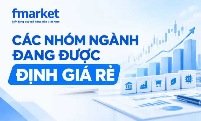 https://files.fmarket.vn/pro/blog/latest/cacnhomnganhdangdinhgiare1_1790221463856.webp