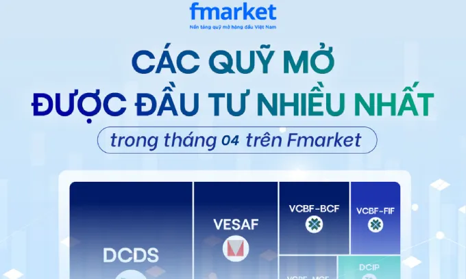 https://files.fmarket.vn/pro/blog/latest/cacquymoduocmuanhieunhattrenfmarket1_1779159204671.webp