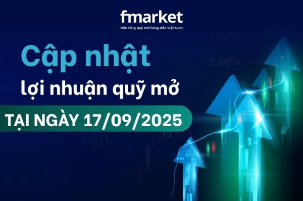 https://files.fmarket.vn/pro/blog/latest/capnhatloinhuanquymo_1758096445066.png