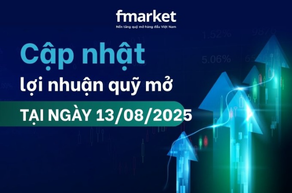 https://files.fmarket.vn/pro/blog/latest/capnhatloinhuanquymotaingay1382025_1755077403148.png