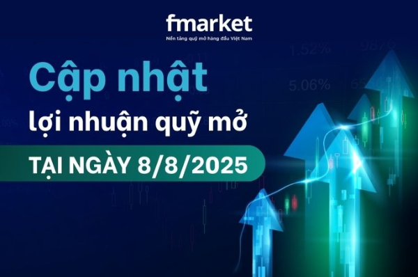 https://files.fmarket.vn/pro/blog/latest/capnhatloinhuanquymotaingay882025_1754982660545.png