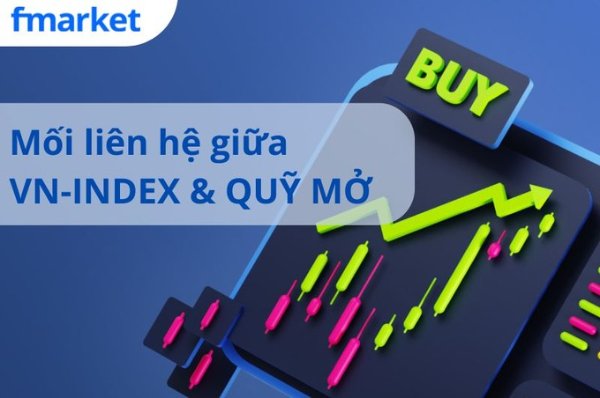 https://files.fmarket.vn/pro/blog/latest/chisovnindexanhhuongtheonaotoiquymo_1757575514241.png