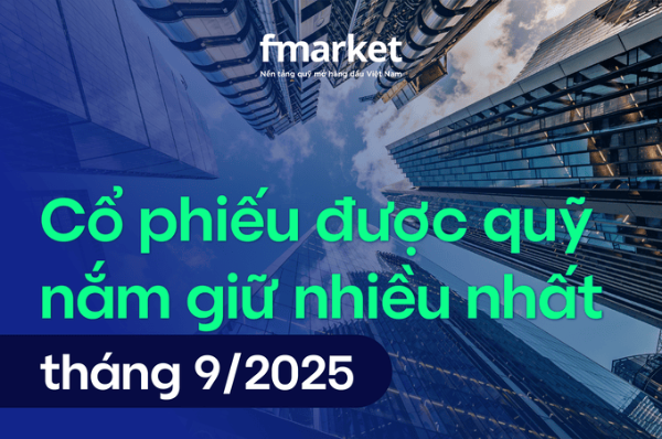 https://files.fmarket.vn/pro/blog/latest/cophieuduocquymonamgiunhieunhat_1761031876811.png