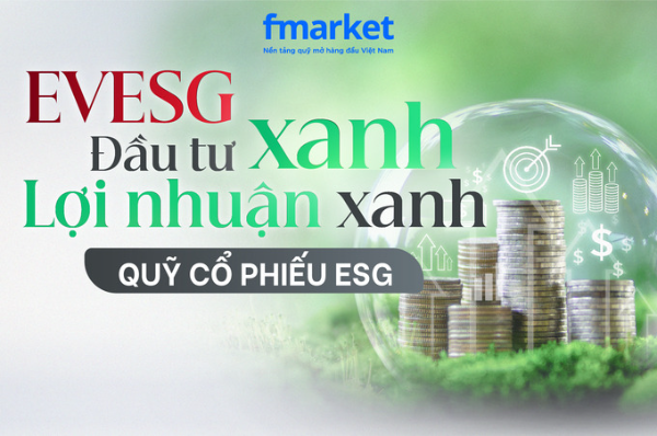 https://files.fmarket.vn/pro/blog/latest/coverquyesg_1757300340558.png