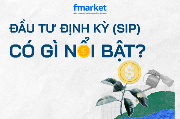 https://files.fmarket.vn/pro/blog/latest/dautudinhkysip_1757303137447.png