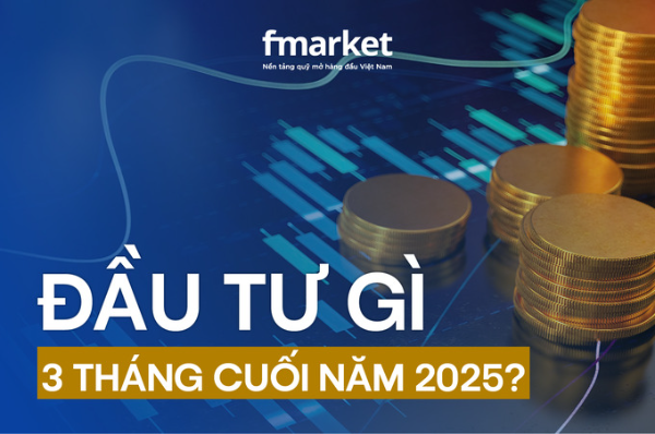 https://files.fmarket.vn/pro/blog/latest/dautugi3thangcuoinam_1759391015309.png