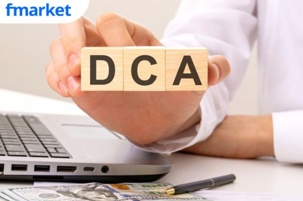 https://files.fmarket.vn/pro/blog/latest/dcachungchiquymo_1755501040882.png