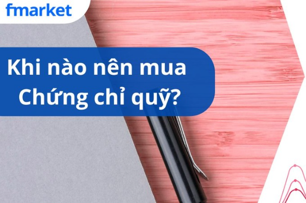 https://files.fmarket.vn/pro/blog/latest/khinaonenmuachungchiquymo_1757497337827.png