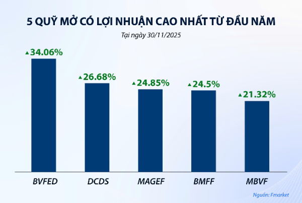 lợi nhuận quỹ mở từ đầu năm 2025