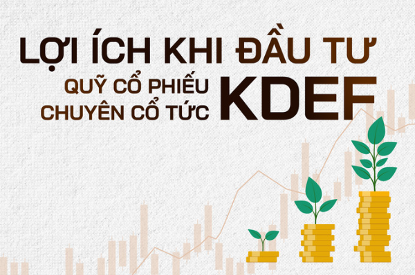 https://files.fmarket.vn/pro/blog/latest/loiichkhidautuquycophieukdef_1753172403389.png