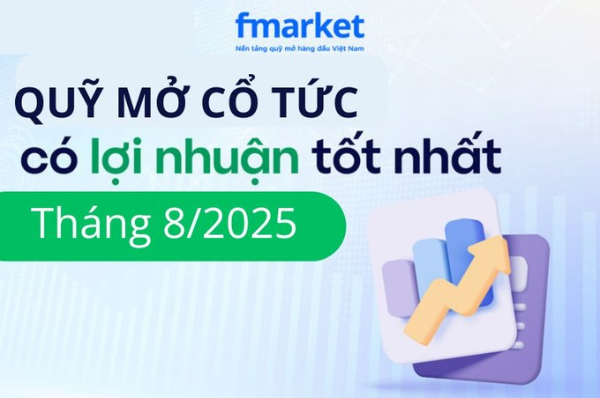 https://files.fmarket.vn/pro/blog/latest/quymocotuccoloinhuantotnhatthang81_1757472811186.png