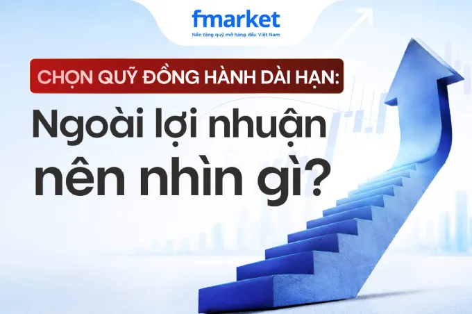 https://files.fmarket.vn/pro/blog/latest/tieuchidanhgiaquymo_1781064376432.webp