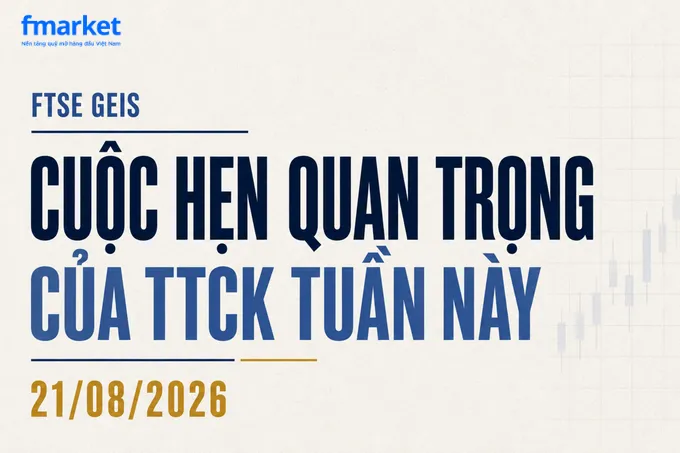 https://files.fmarket.vn/pro/blog/latest/tinnanghangthitruongchungkhoan_1787129261392.webp