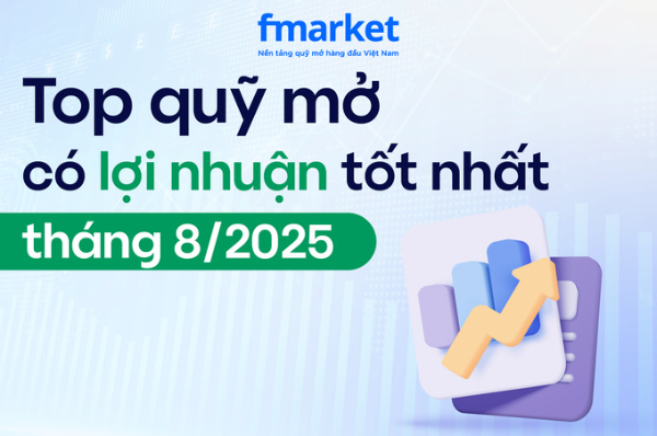 https://files.fmarket.vn/pro/blog/latest/topquycoloinhuantotnhatthang8_1757409692527.png