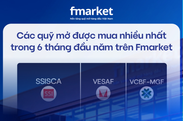 https://files.fmarket.vn/pro/blog/latest/topquycophieumuanhieunhat021_1753348704467.png